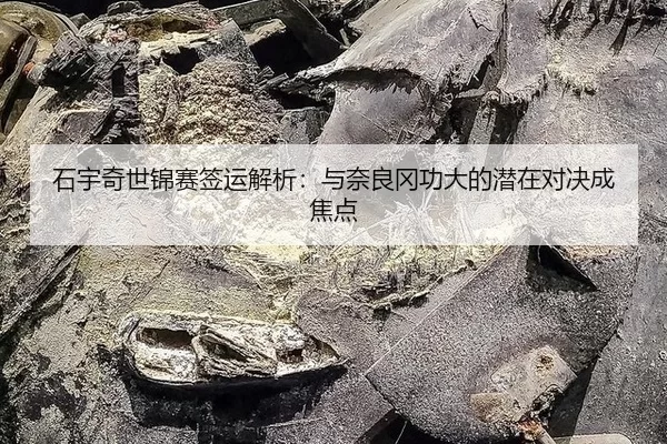 石宇奇世锦赛签运解析：与奈良冈功大的潜在对决成焦点