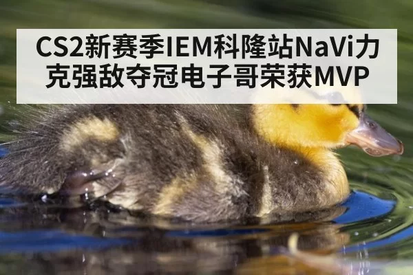 CS2新赛季IEM科隆站NaVi力克强敌夺冠电子哥荣获MVP